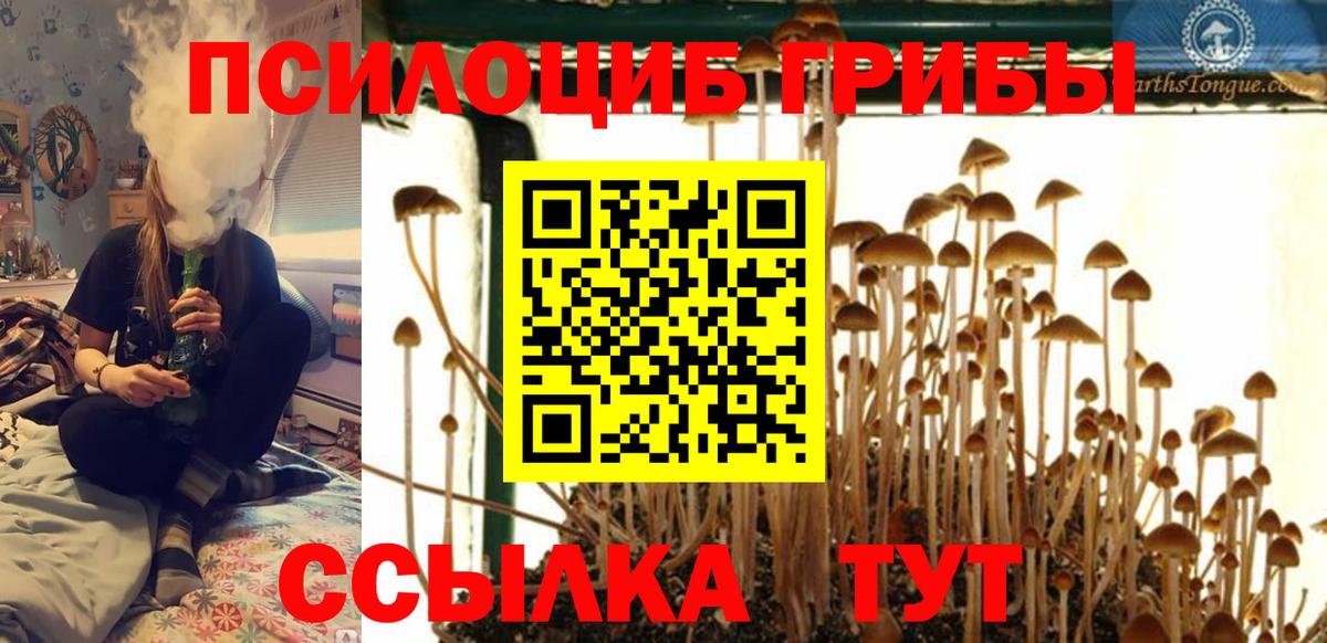 Михайловск  Галлюциногенные грибы прущие грибы  купить наркотики цена  Вход с VPN 
